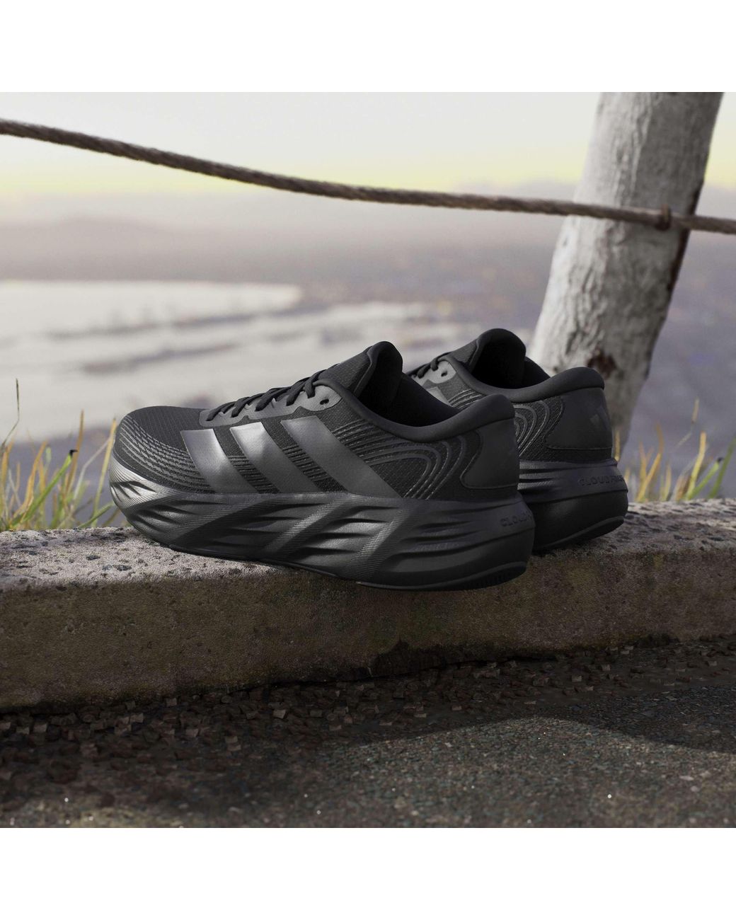 Adidas Blue Galaxy 8 Road Running Shoes for men