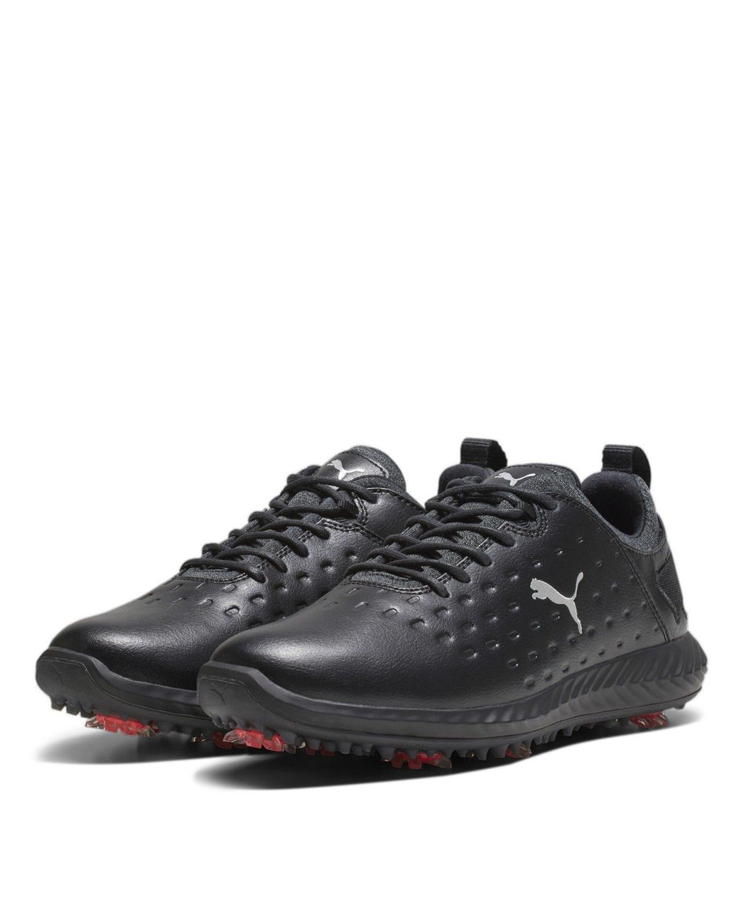 PUMA Black Blaze Pro Ignite Golf Shoes