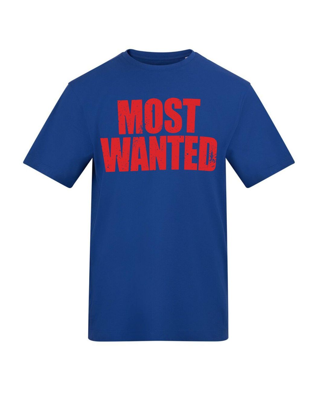 AWD Blue Adult Printed Novelty Tees