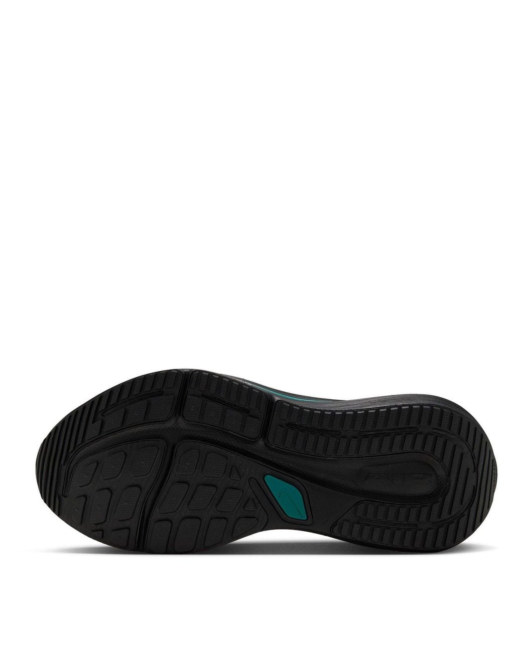 Nike Blue Winflo 12 Running Shoes for men