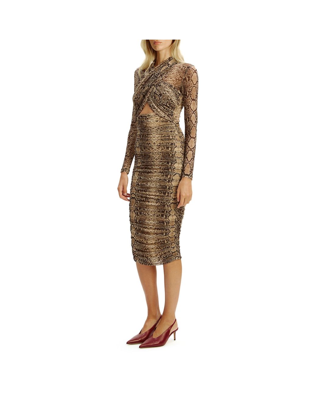 Bardot Brown Aliyah Midi Bodycon Dress