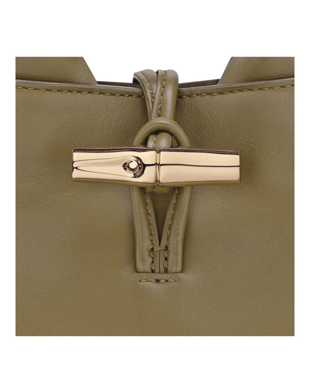 Longchamp Green Le Roseau Xs Handbag