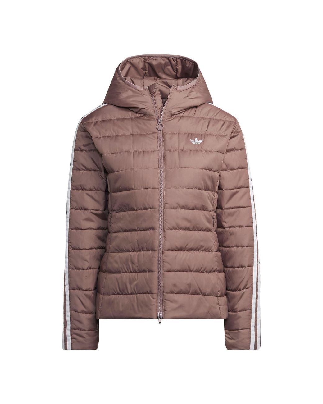 Adidas Originals Brown Premium Slim Hooded Long Sleeve Slim Fit Short Puffer Jacket