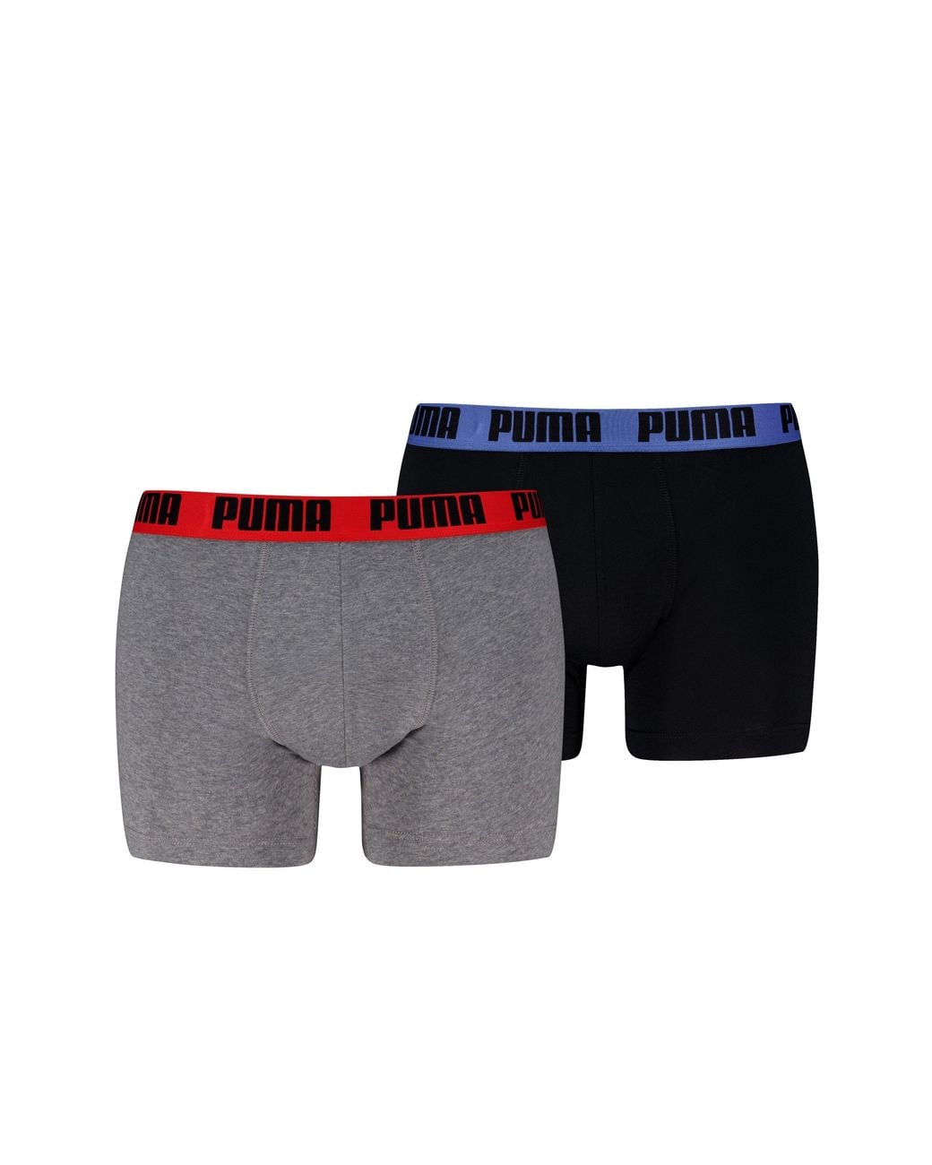 PUMA Gray Everyday Bs for men