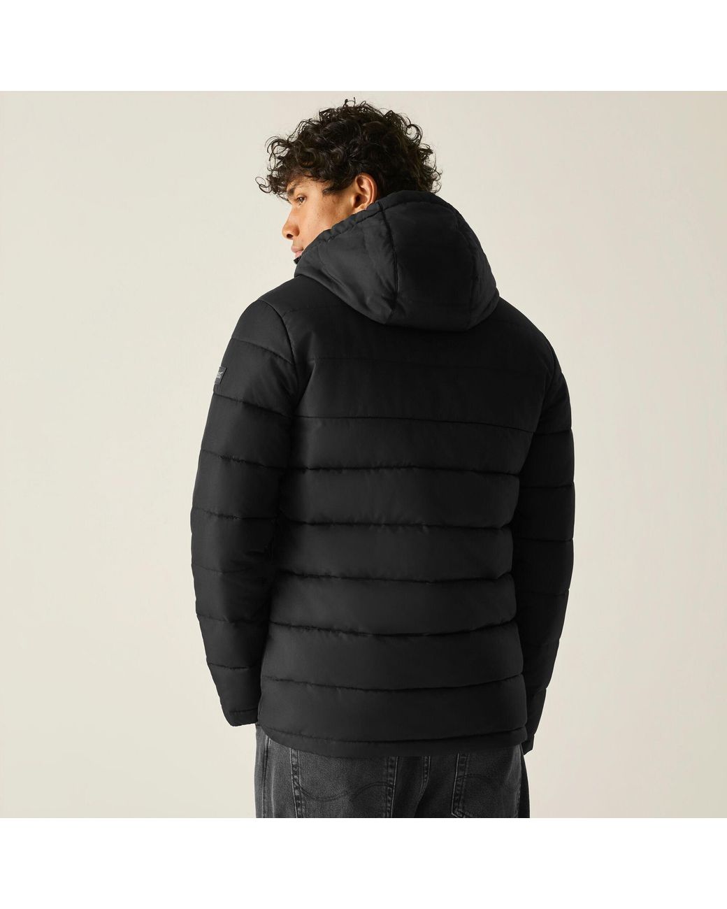 Regatta Black Frankie Padded Jacket for men
