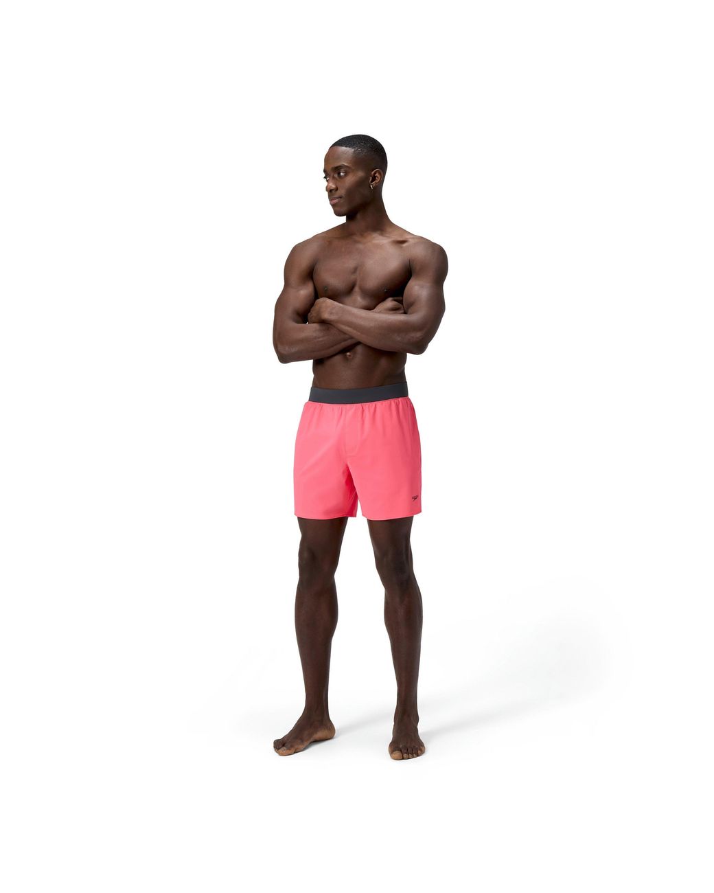 Speedo Pink Lookout Solid Volley Swimming Trunks for men