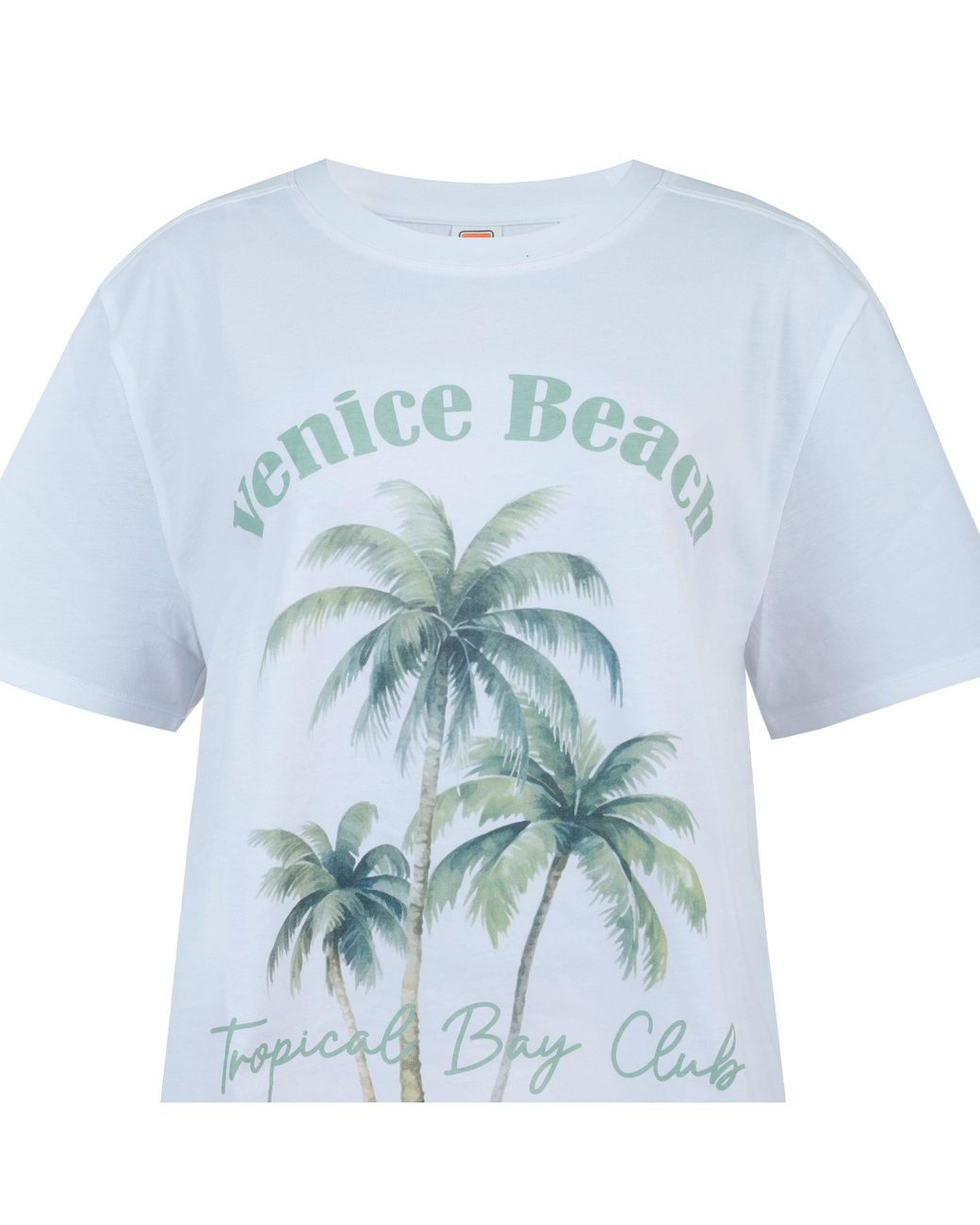 SoulCal & Co California Blue Oversized Graphic T-Shirt