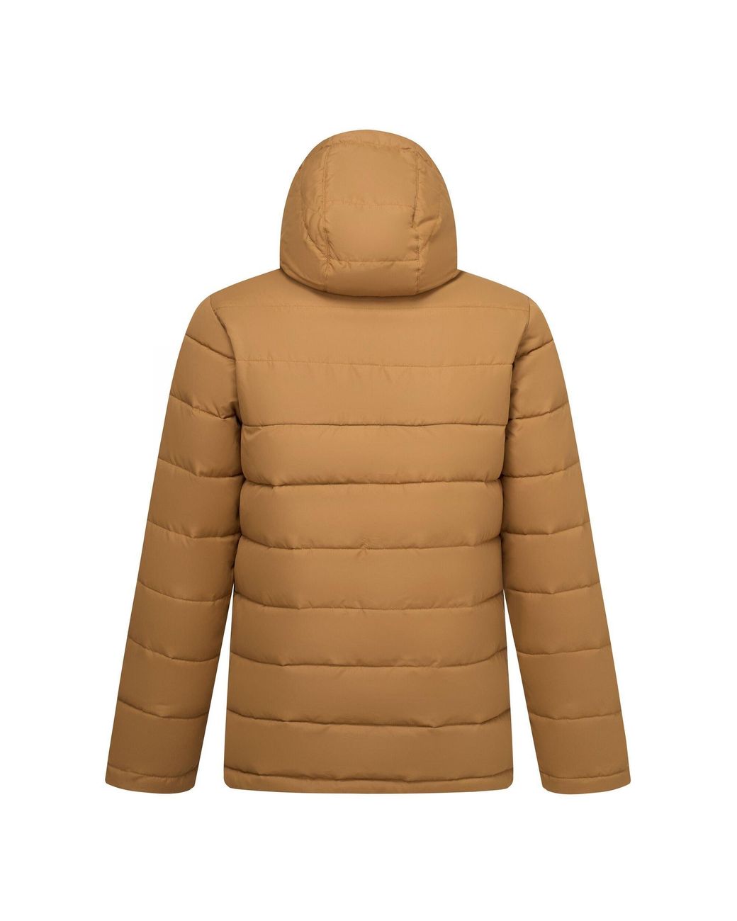 Regatta Brown Frankie Padded Jacket for men