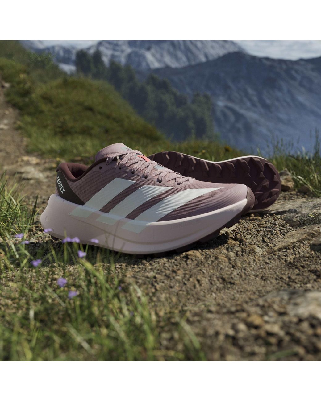 Adidas Multicolor Terrex Agravic Sl Trail Running Shoes