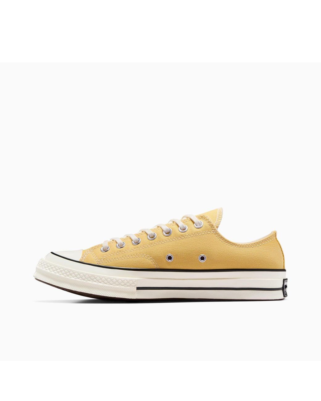 Converse Multicolor Adults Chuck 70 Canvas Trainers