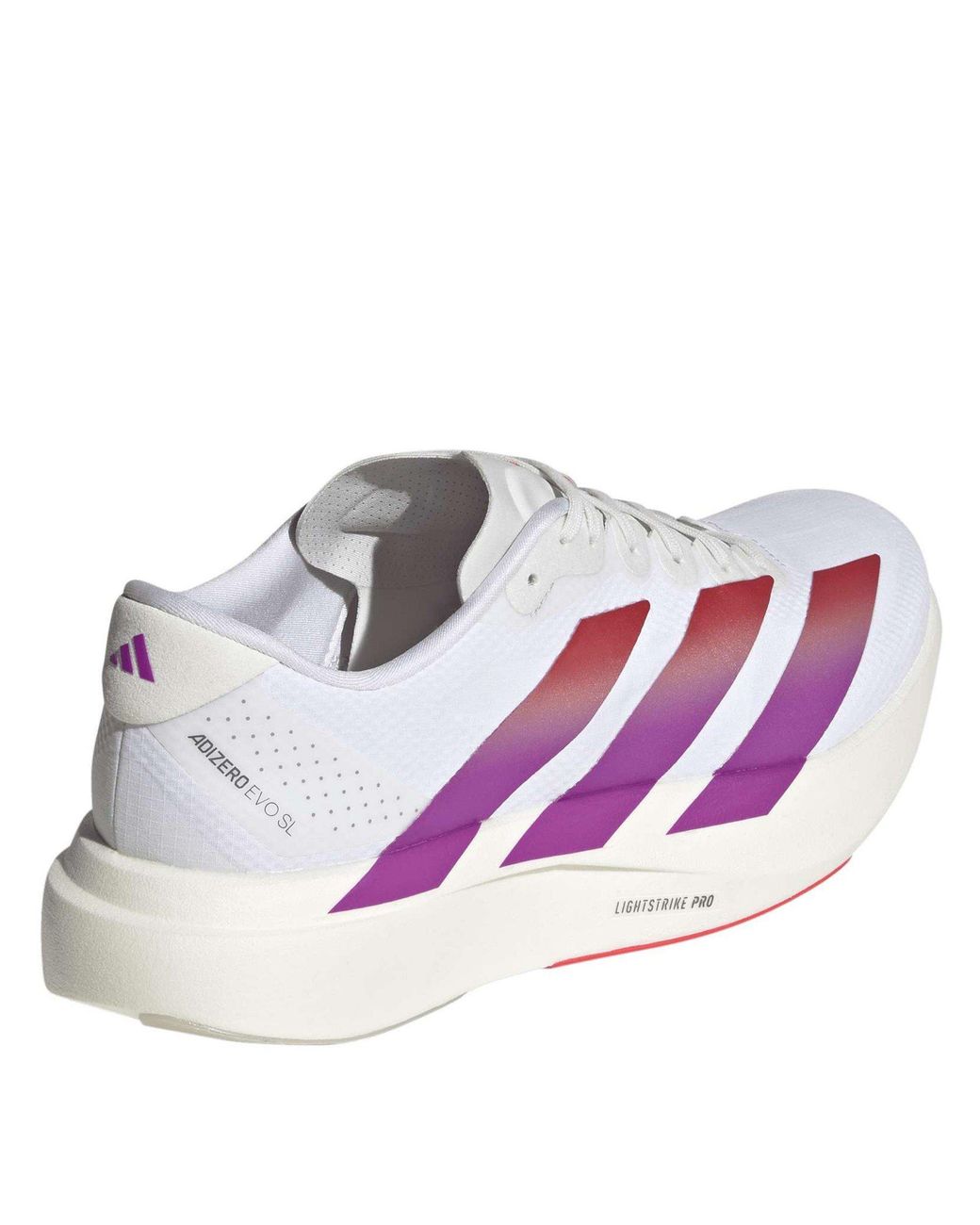 Adidas Purple Adizero Evo Sl Shoes for men