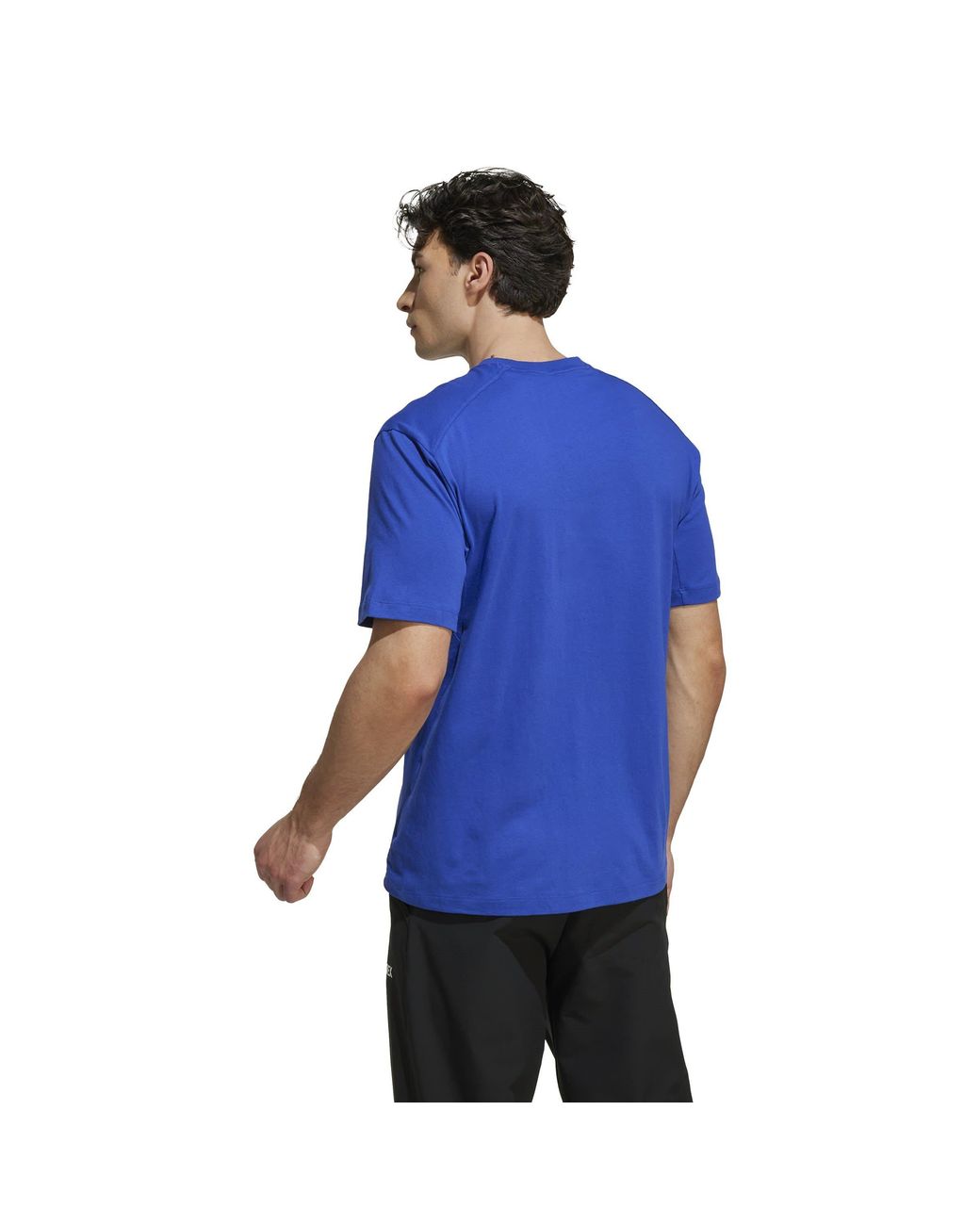 Adidas Blue Terrex Classic Logo T-Shirt for men