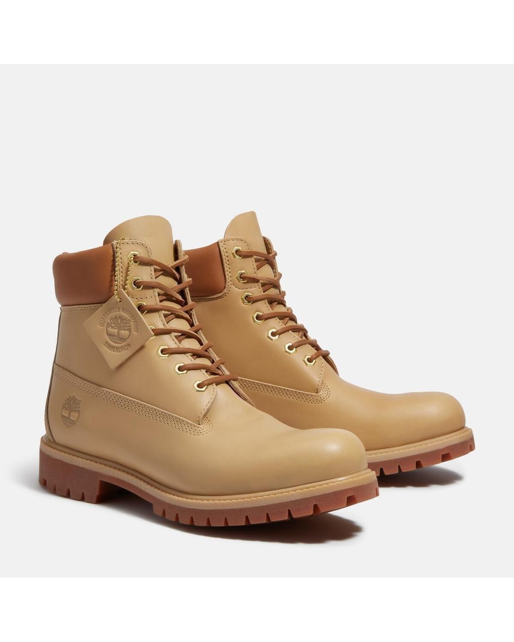 Timberland Brown Founder's 6-Inch Waterproof Boot For for men