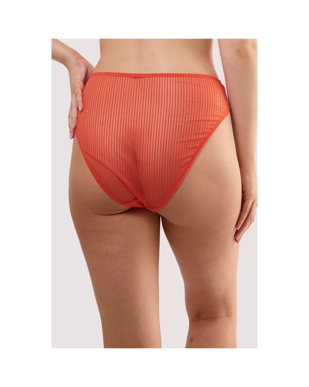 Playful Promises Red Veronica Microstripe Hipster Brief
