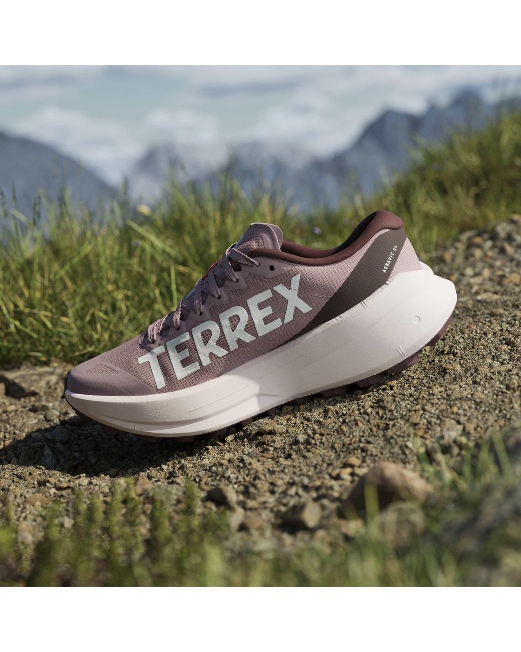 Adidas Multicolor Terrex Agravic Sl Trail Running Shoes