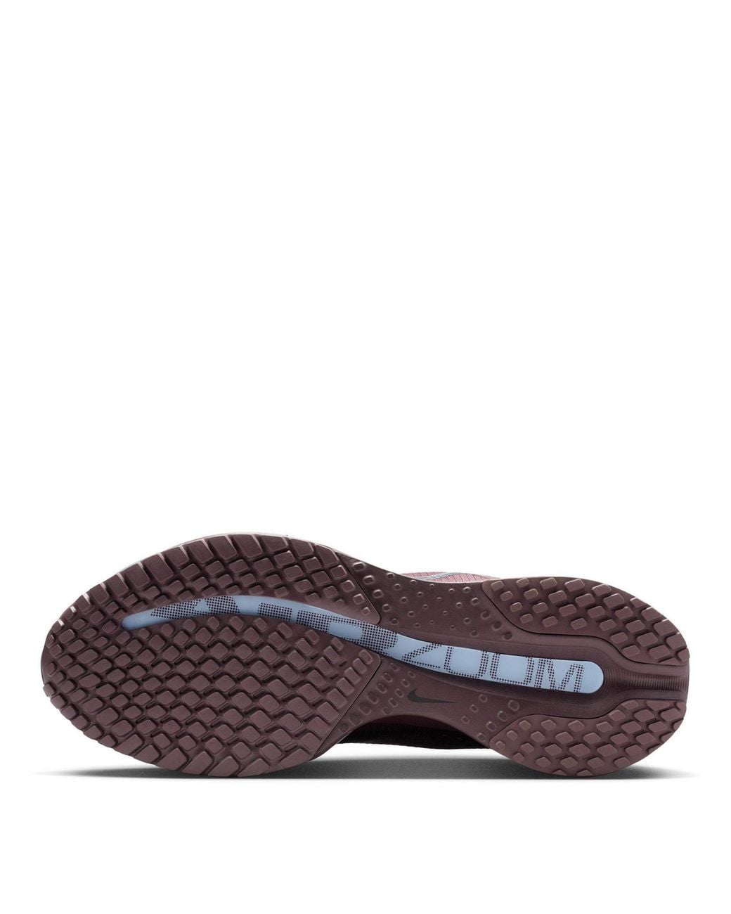Nike Brown Pegasus Premium Trainers