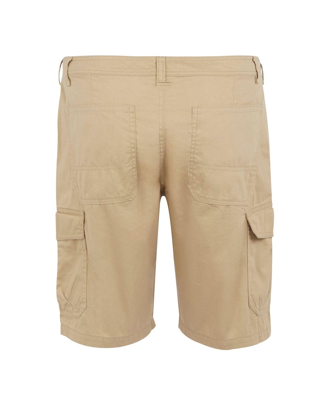 Regatta Natural Ruwan Shorts for men