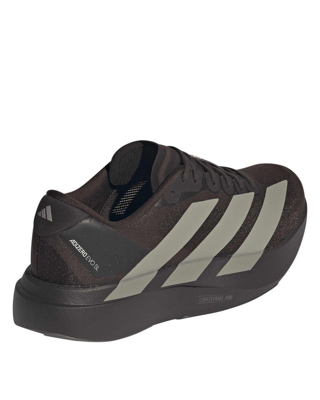 Adidas Brown Adizero Evo Sl Shoes for men