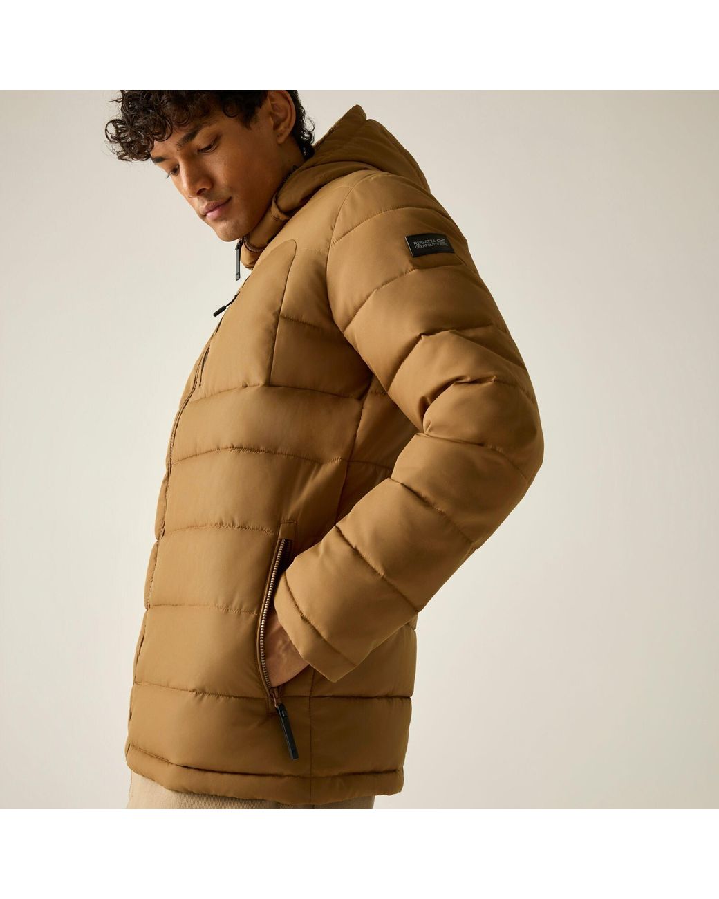 Regatta Brown Frankie Padded Jacket for men