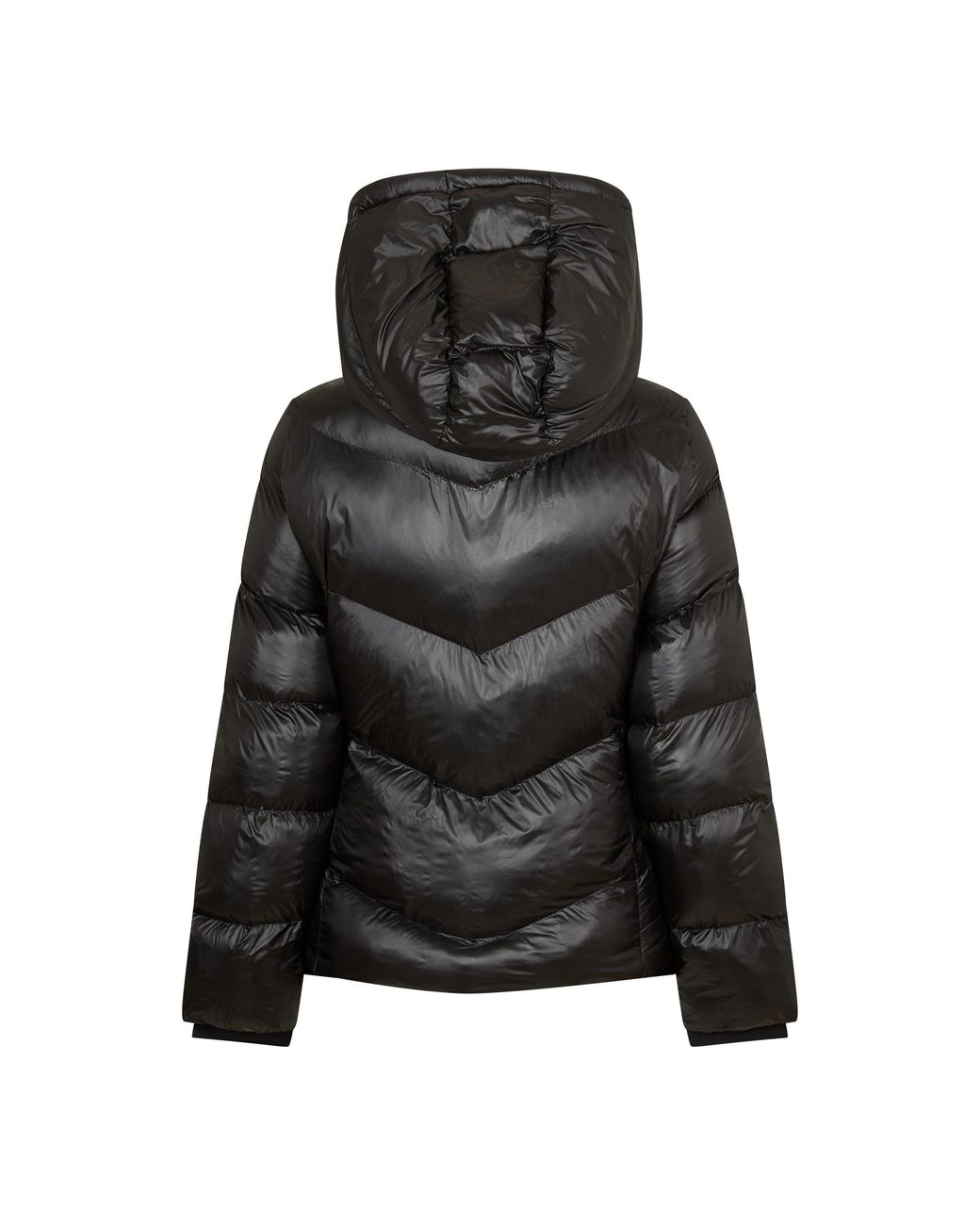 Boss Black Pepule4 Padded Puffer Jacket