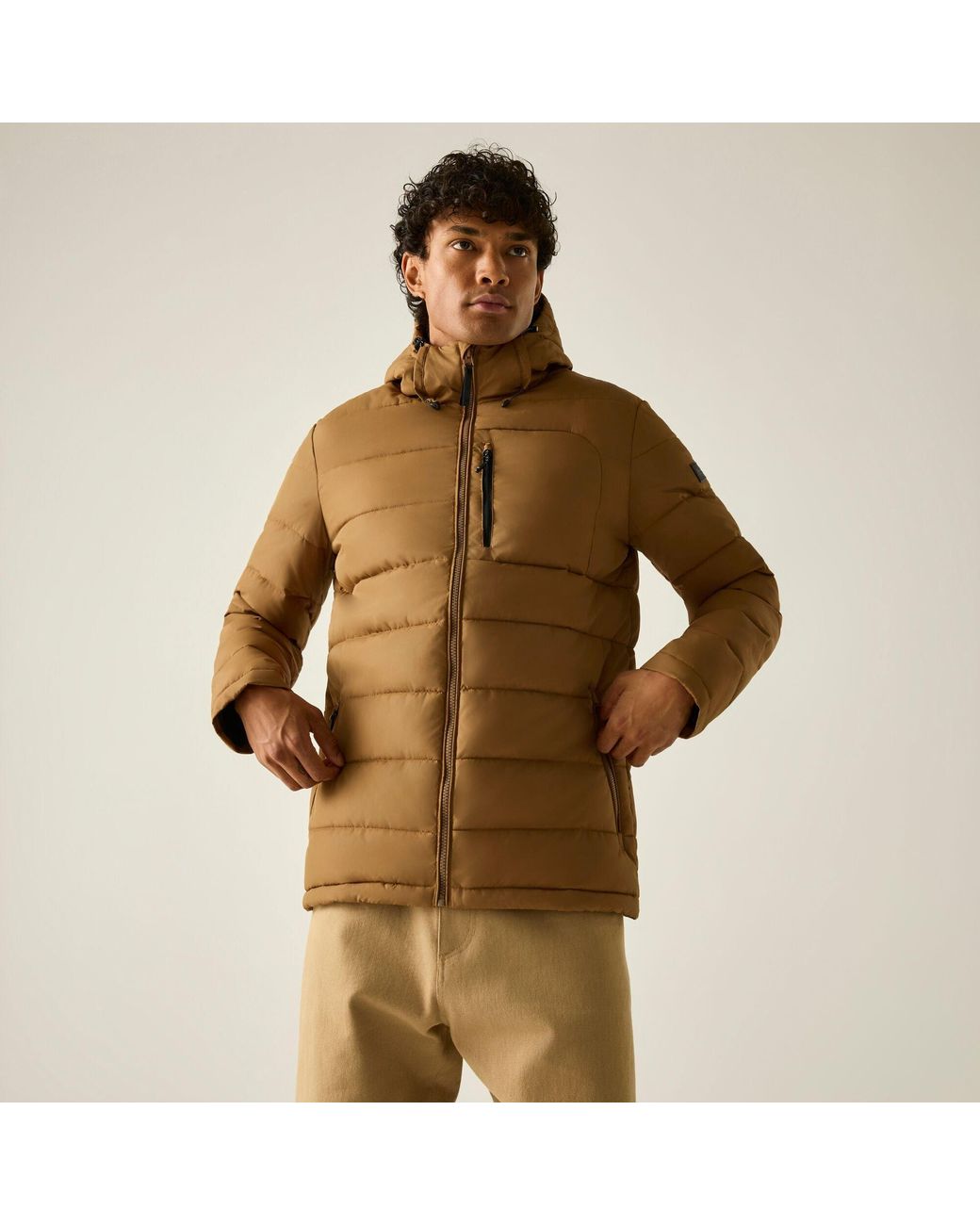 Regatta Brown Frankie Padded Jacket for men
