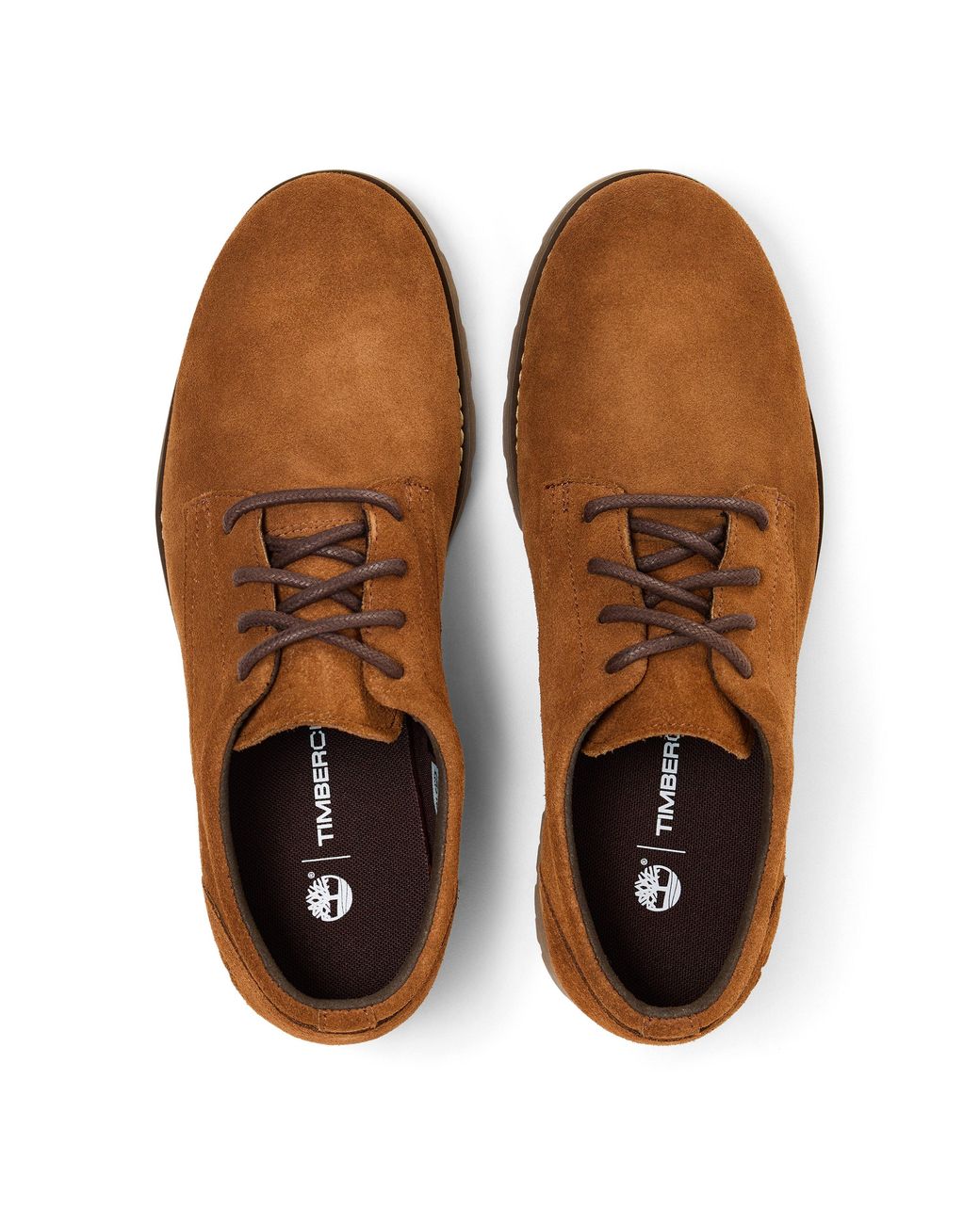 Timberland Brown Britton Square Rust Derby Shoes for men