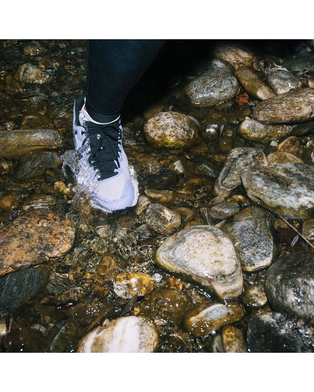 Adidas Blue Terrex Trail Ride Gore Tex Trainers