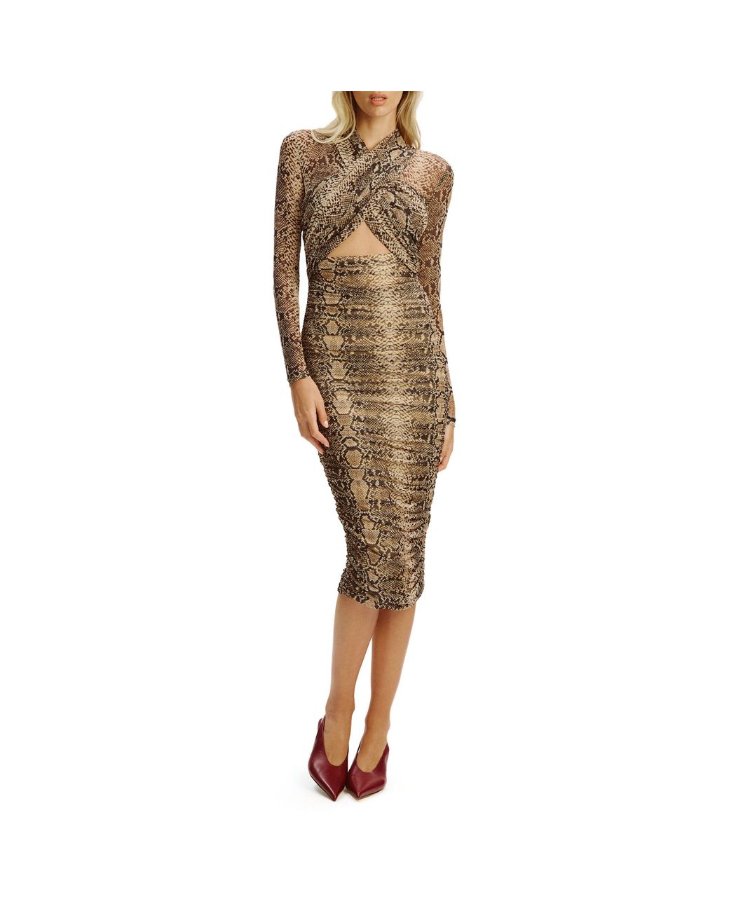 Bardot Brown Aliyah Midi Bodycon Dress