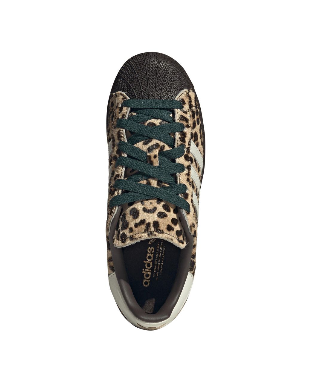 Adidas Brown Superstar Sneakers