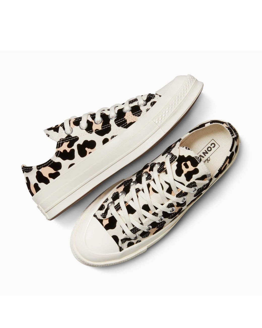 Converse White Adults Chuck 70 Canvas Trainers