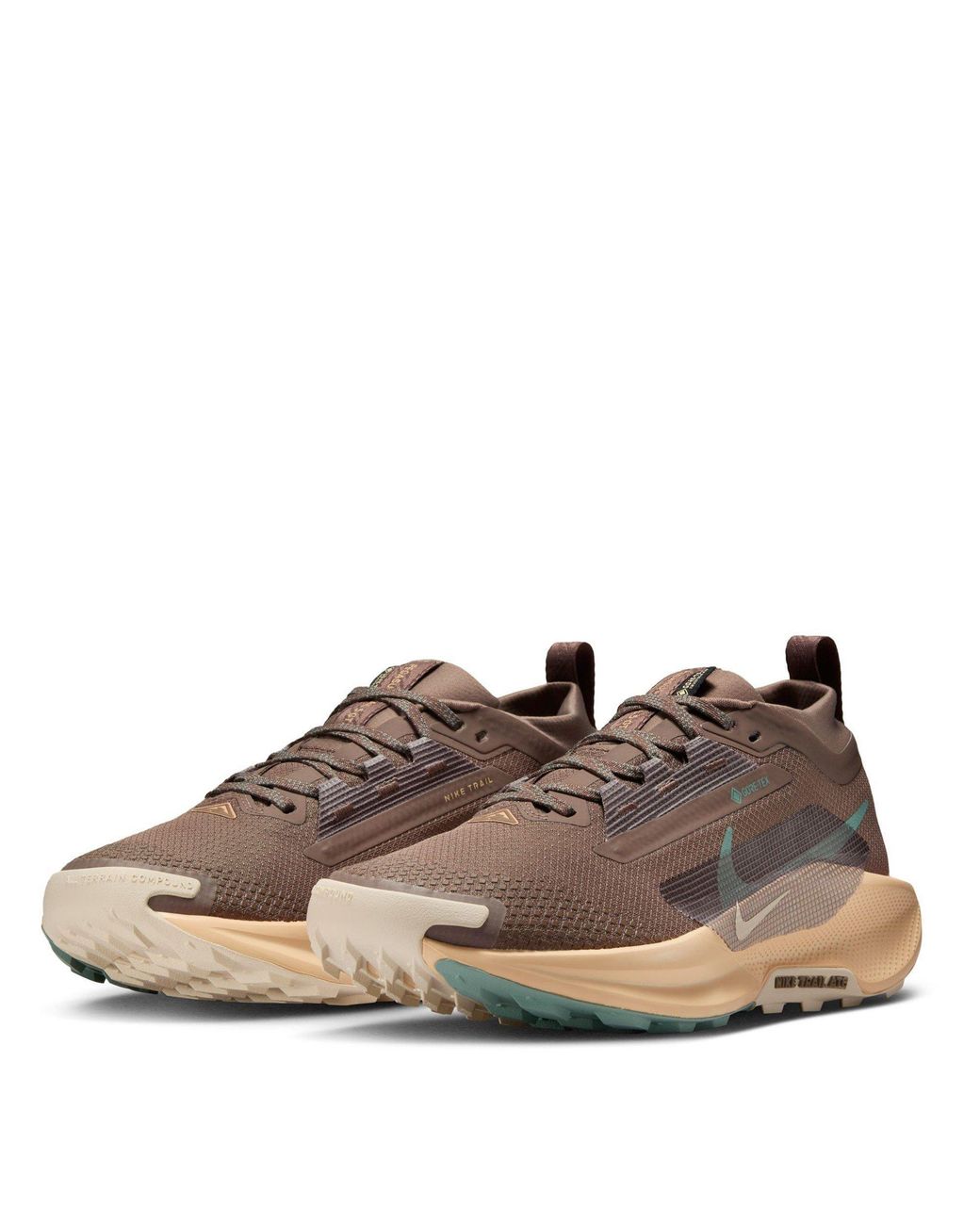 Nike Brown Pegasus Trail 5 Gore-Tex Running Shoes