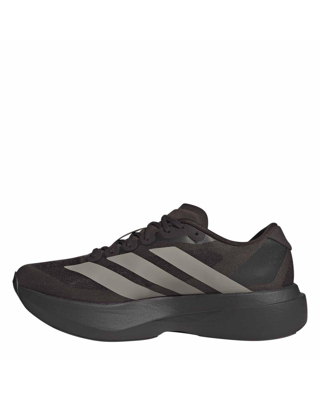 Adidas Brown Adizero Evo Sl Shoes for men