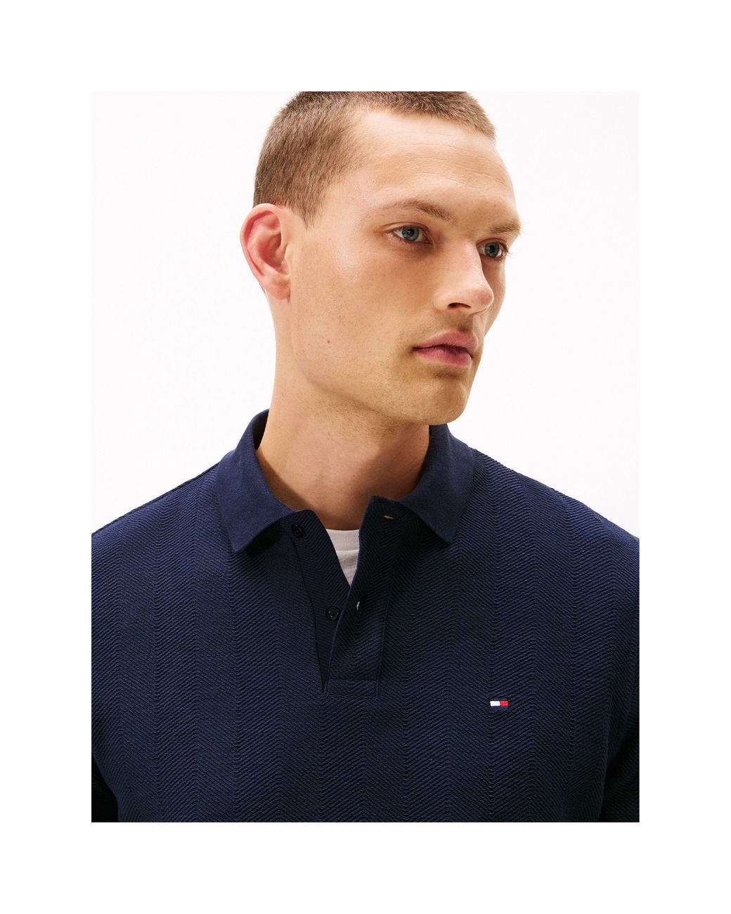 Tommy Hilfiger Blue Herring Long Sleeve Polo Shirt for men