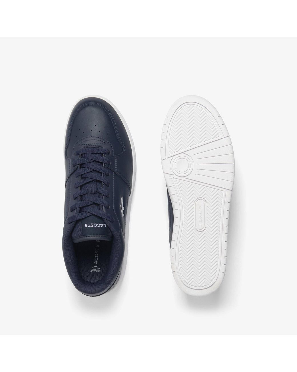 Lacoste Blue Court Ace Sneakers for men