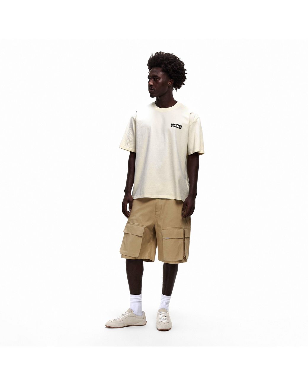 Dickies Natural Buchtell Tee for men