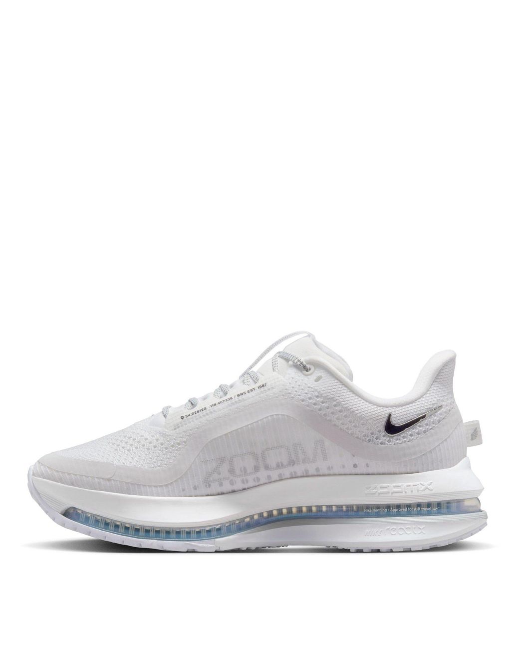 Nike Gray Pegasus Premium Trainers