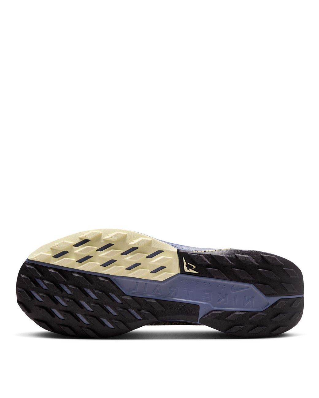 Nike Blue Pegasus Trail 5 Gore-Tex Running Shoes