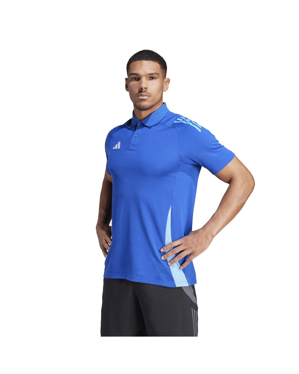 Adidas Blue Tiro24 C Polo Shirt for men