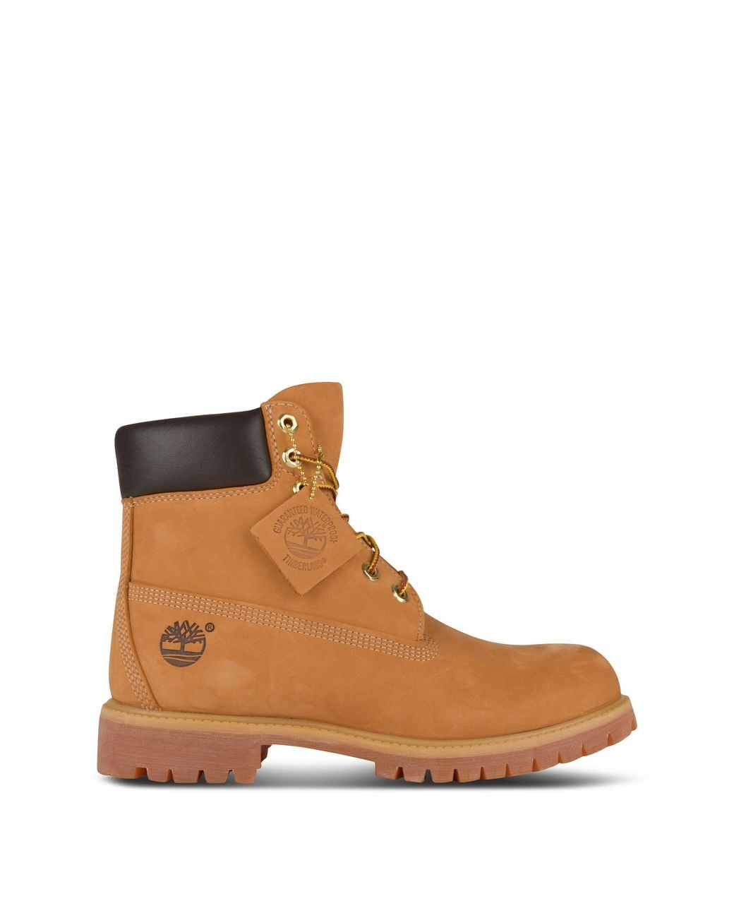 Timberland Brown 6 Inch Lace Up Waterproof Boots for men