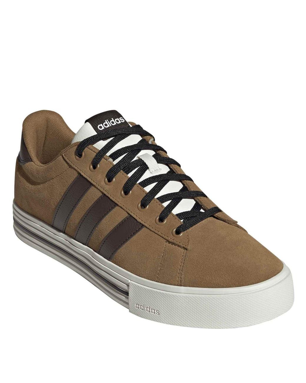 Adidas Brown Daily 4.0 Court Trainers for men