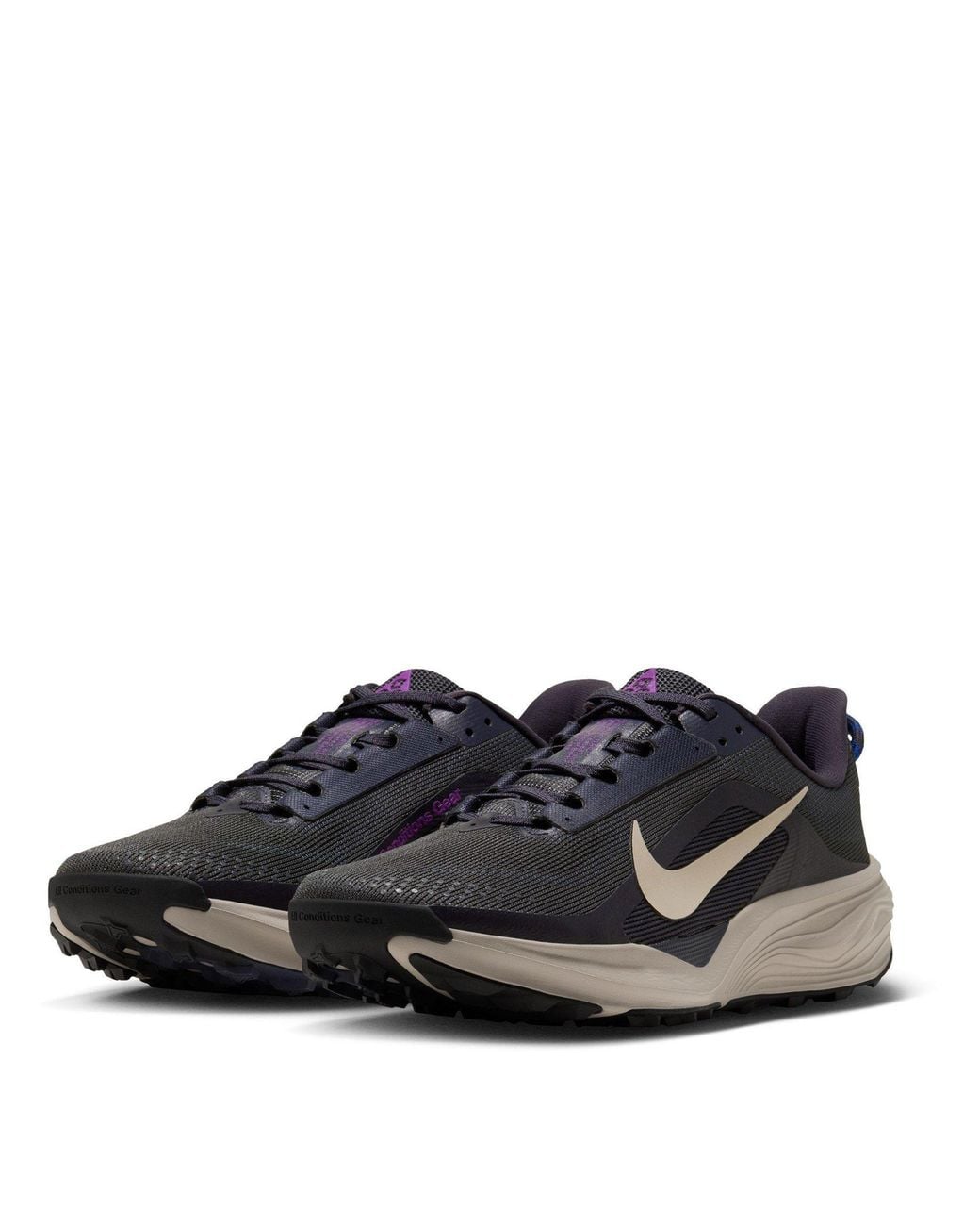 Nike Blue Pegaus 42S Running Shoes for men