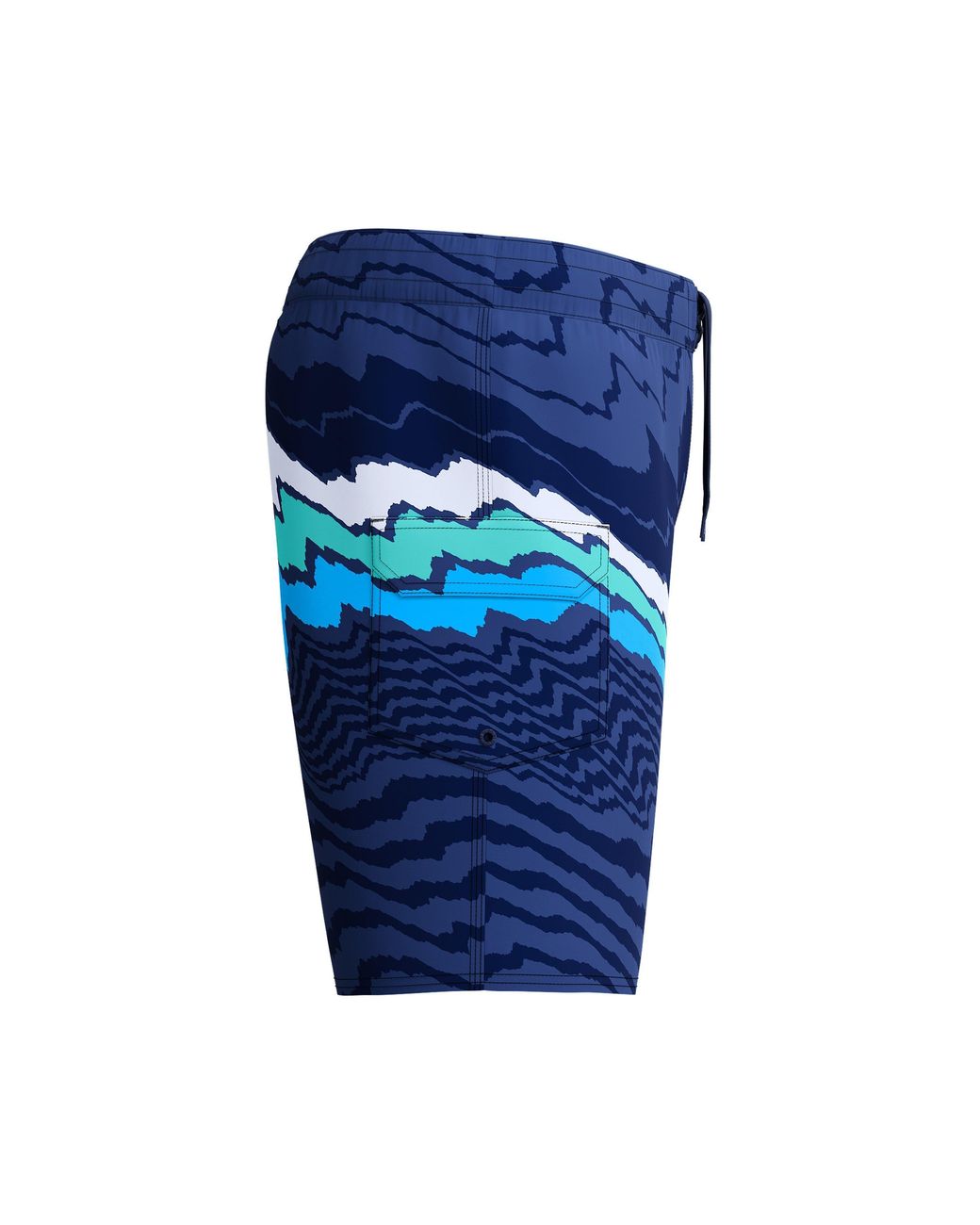Speedo Blue The Lookout Printed Boardshorts for men