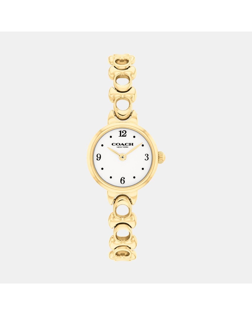 COACH Metallic Iris Watch