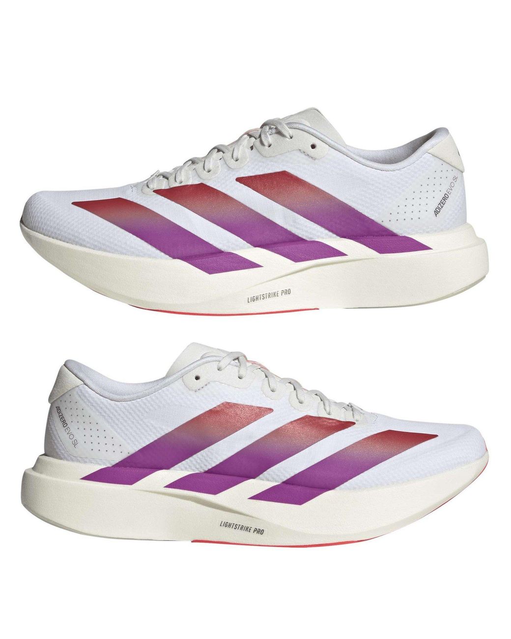 Adidas Purple Adizero Evo Sl Shoes for men