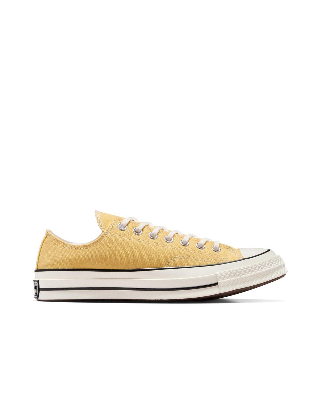 Converse Multicolor Adults Chuck 70 Canvas Trainers
