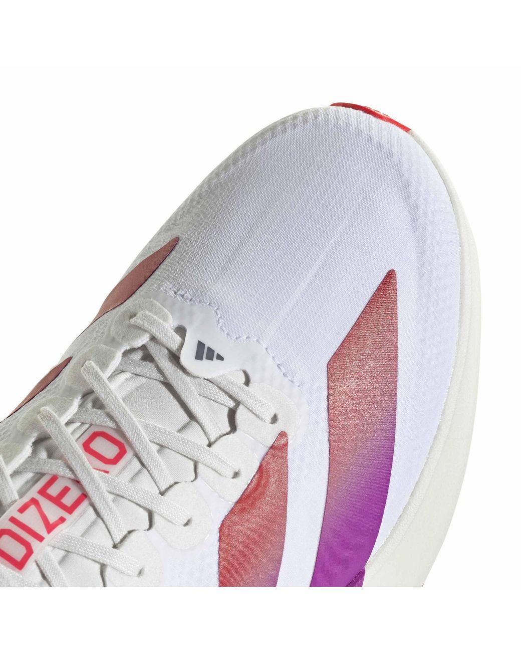Adidas Purple Adizero Evo Sl Shoes for men
