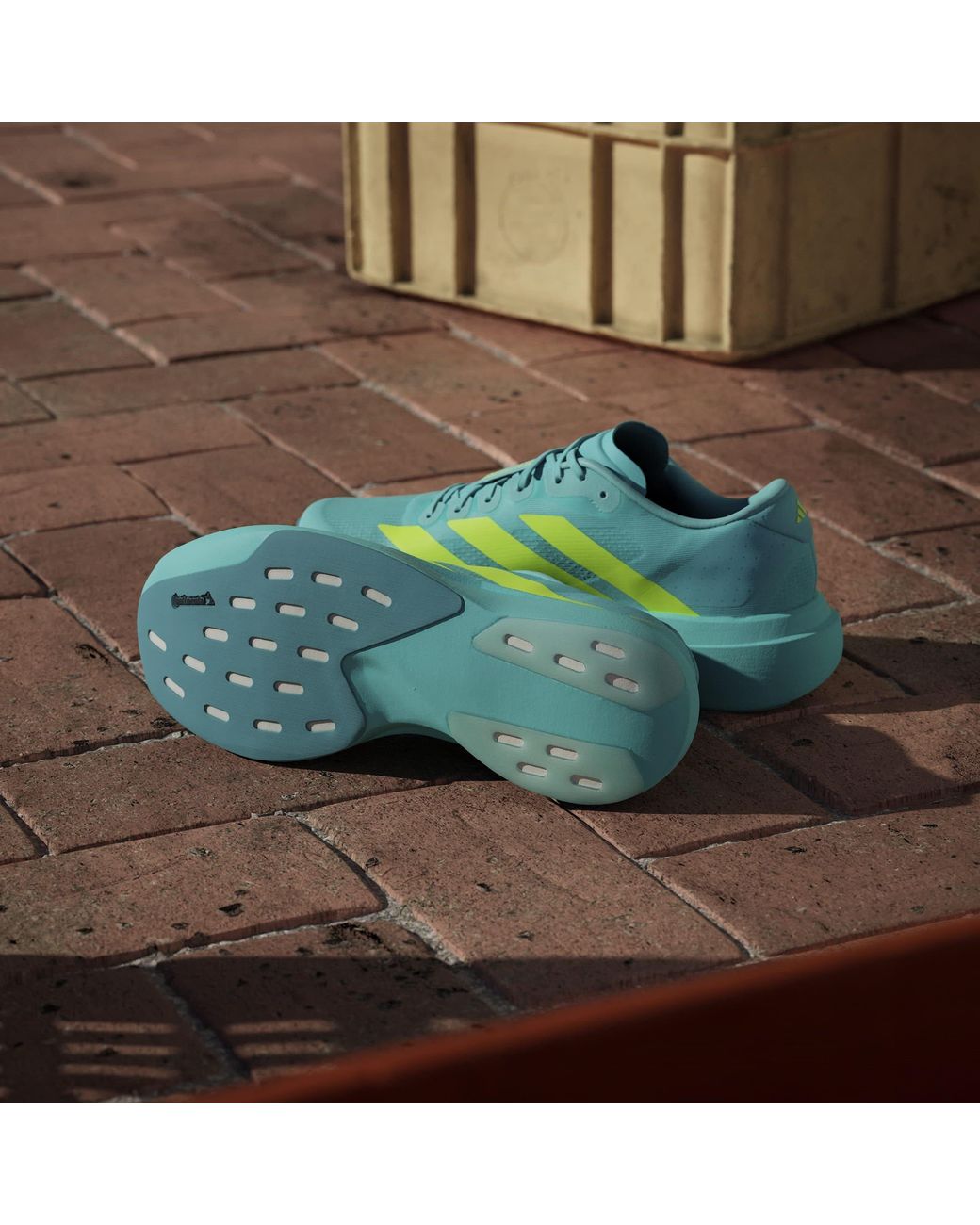 Adidas Blue Adizero Evo Sl Shoes for men