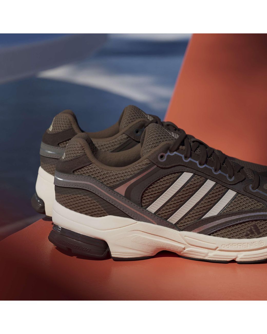 Adidas Brown Spiritain 2000 Trainers