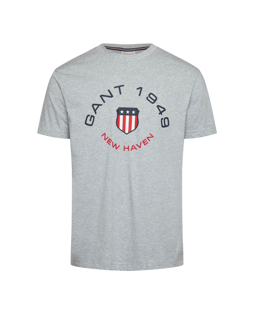 Gant Gray Graphic T-Shirt for men
