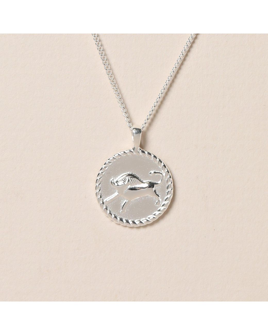 Simply Silver White Sterling 925 Zodiac Pendant